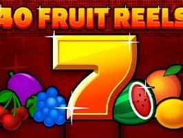 40 Fruit Reels screenshot